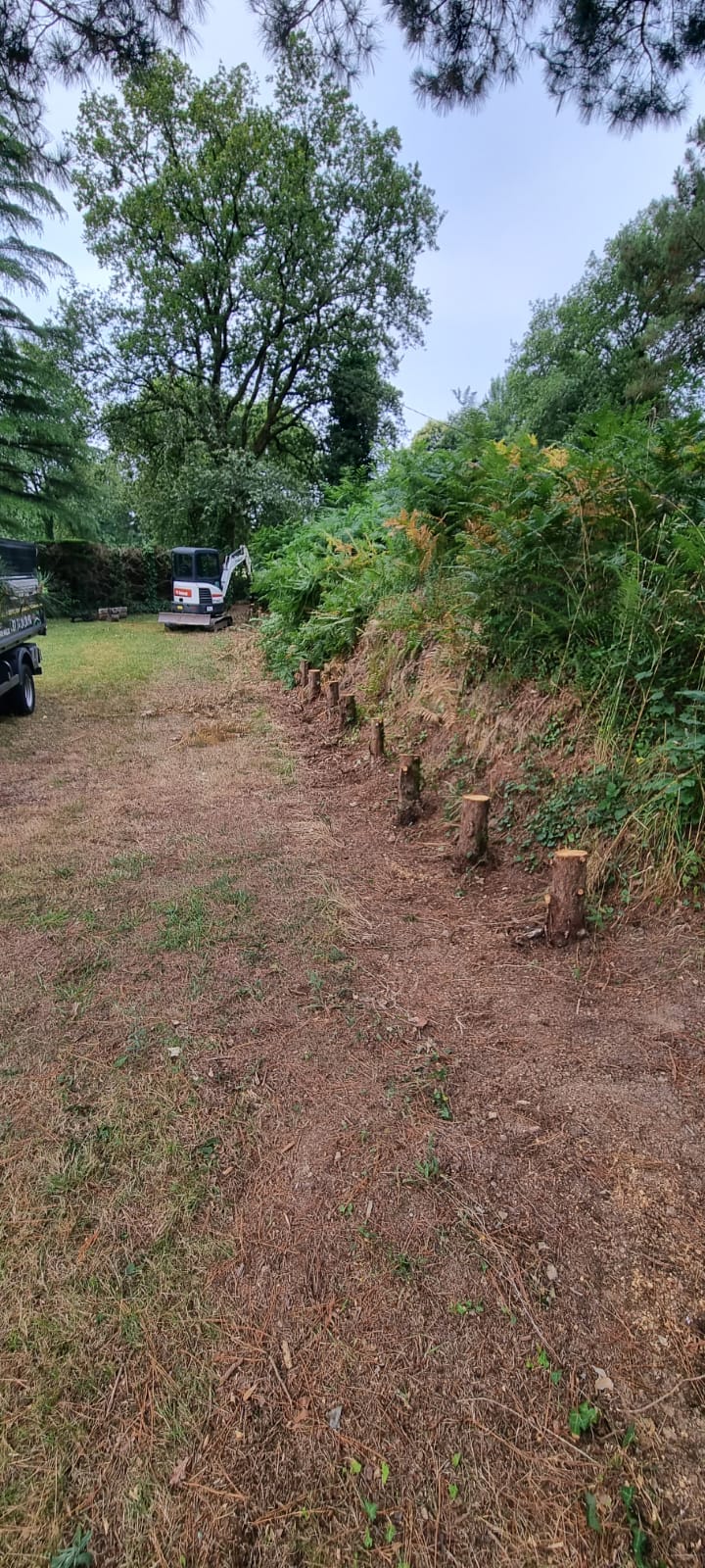 Travaux spécialisés — défrichage, élagage, rognage